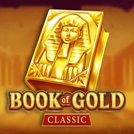 game logo by Playson on donbettuk.com