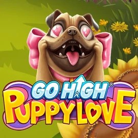 game logo by RubyPlay on donbettuk.com