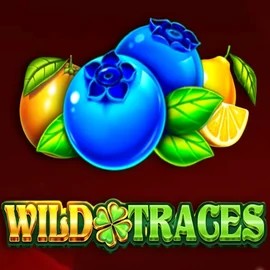 Wild Traces online slot from Amusnet Interactive – play at donbettuk.com